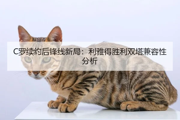 luo-xu-yue-hou-feng-xian-xin-ju-li-ya-de-sheng-li-shuang-ta-jian-rong-xing-fen-xi-2-531.jpg